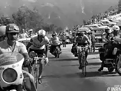 Tour-Merckx-Thevenet3