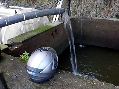 DSCN0536 DSCN0536