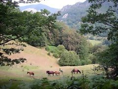 DSCN3821 DSCN3821