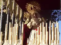 virgen pino montano