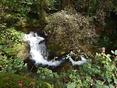 DSCN0506