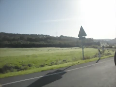 DSCN9930 DSCN9930