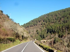 DSCN1614 DSCN1614