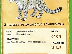 leopardo de las nieves