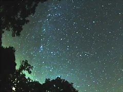 Perseidas