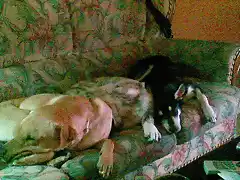 mis tres nenes en su sofa jejeje