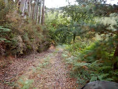 DSCN6924 DSCN6924