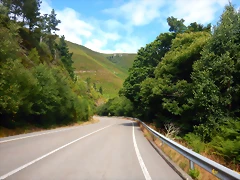 DSCN6585 DSCN6585