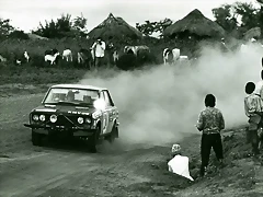 Datsun 510 - Safari Rally '69