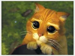 shrek cat