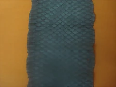 DSC06983