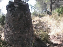 PICT0035