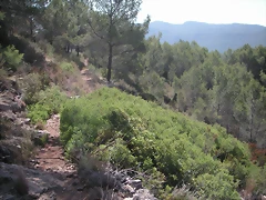 PICT0032