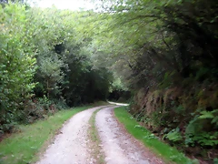 IMG_0482 IMG_0482