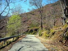 DSCN3965 DSCN3965