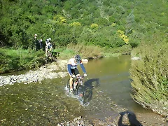 dani rio