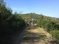 pista