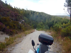 DSCN4431 DSCN4431