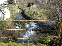 DSCN7925 DSCN7925