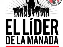 LIDER