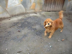 DSCN0572 DSCN0572