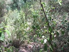 PICT0067
