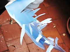 DSCF1241 DSCF1241