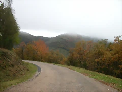 DSCN5987 DSCN5987