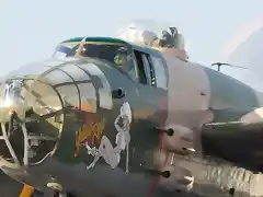 B-25 Yellow Rose. Ao 2012