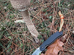 IMG_20141016_105940 IMG_20141016_105940