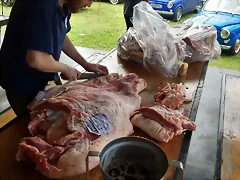 IMG-20190419-WA0068