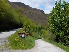 DSCN9486 DSCN9486