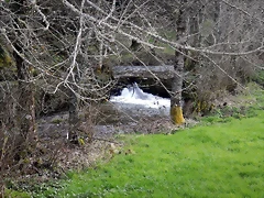 DSCN9564 DSCN9564