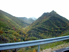 DSCN6050 DSCN6050