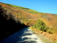 DSCN9178 DSCN9178