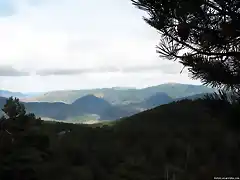 De vuelta a casa, en los Pinares de Soria