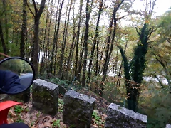 DSCN1231 DSCN1231