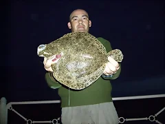 buen rodaballo buen rodaballo