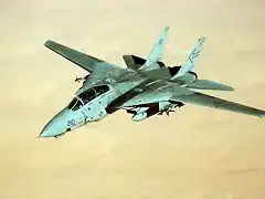 Tomcat-over-desert