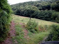 DSCN4762 DSCN4762