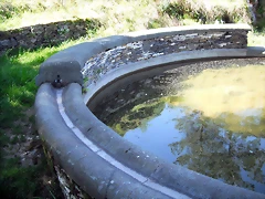 DSCF2520 DSCF2520