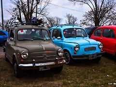DSC_0177 DSC_0177