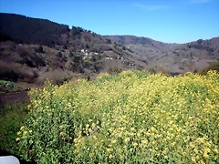 DSCN5119 DSCN5119