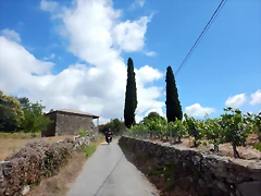 DSCN7696 DSCN7696