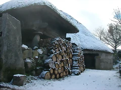 DSCN4844 DSCN4844
