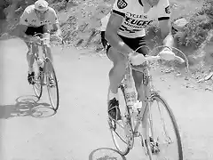 Tour-Merckx-Thevenet2