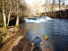 DSCN4641 DSCN4641