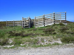 118-Imagen 125 118-Imagen 125
