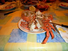 DSCN2404