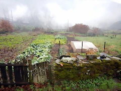DSCN0231 DSCN0231